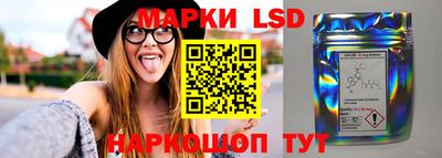 шишки Заволжье