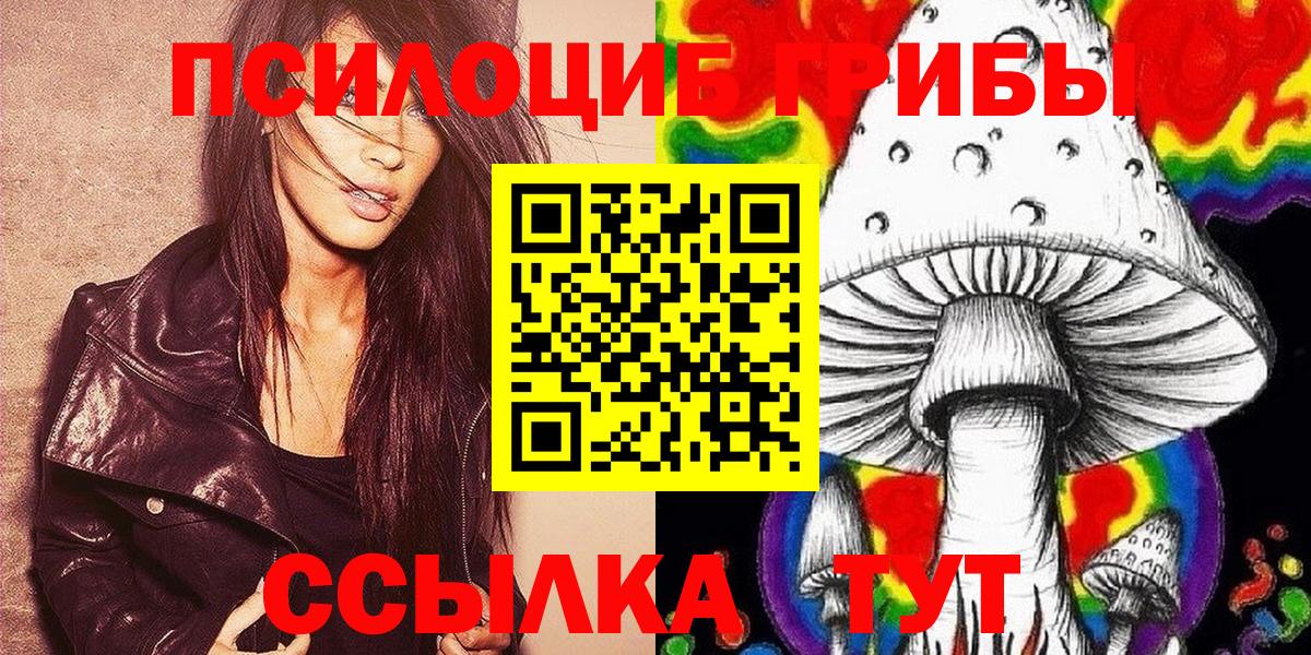 Галлюциногенные грибы Psilocybe  Вход с VPN  Майкоп  Галлюциногенные грибы прущие грибы 
